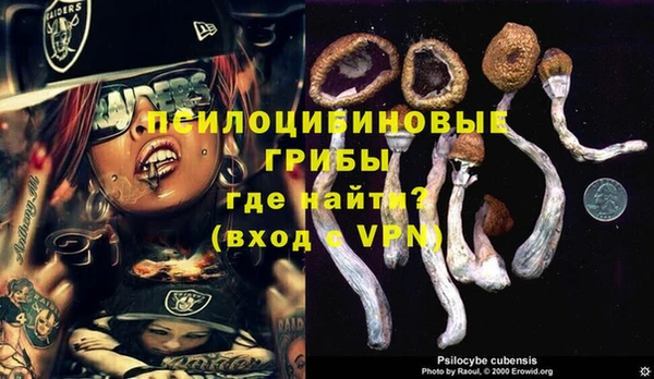 трава Богородицк
