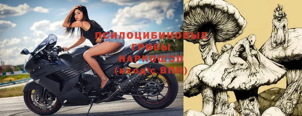 дурь Белокуриха